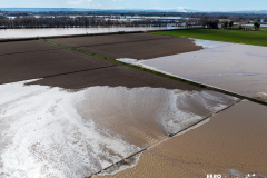 LA ADAPTACIÓN ES POSIBLE Área inundable en la finca de La Mejana de La Cruz, Alagón (Zaragoza)