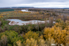 RECUPERAR ECOSISTEMAS Y LUCHAS CONTRA LAS INUNDACIONES Humedal creado en El Estajao, Alfaro