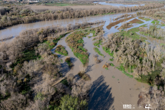 RECUPERAR ECOSISTEMAS Y LUCHAS CONTRA LAS INUNDACIONES El Soto de Alfaro reconectado con el Ebro a través de la recuperación de brazos de río