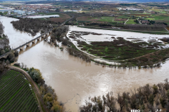 MEANDROS QUE VUELVEN A SER PARTE DEL RÍO Crecida del Ebro diciembre 2024 en el meandro de La Roza