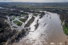 MEANDROS QUE VUELVEN A SER PARTE DEL RÍO Soto de Alfaro (La Rioja),  diciembre de 2024, brazos recuperados de río 