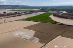 LA ADAPTACIÓN ES POSIBLE Área inundable en la finca de La Mejana de La Cruz, Alagón (Zaragoza)