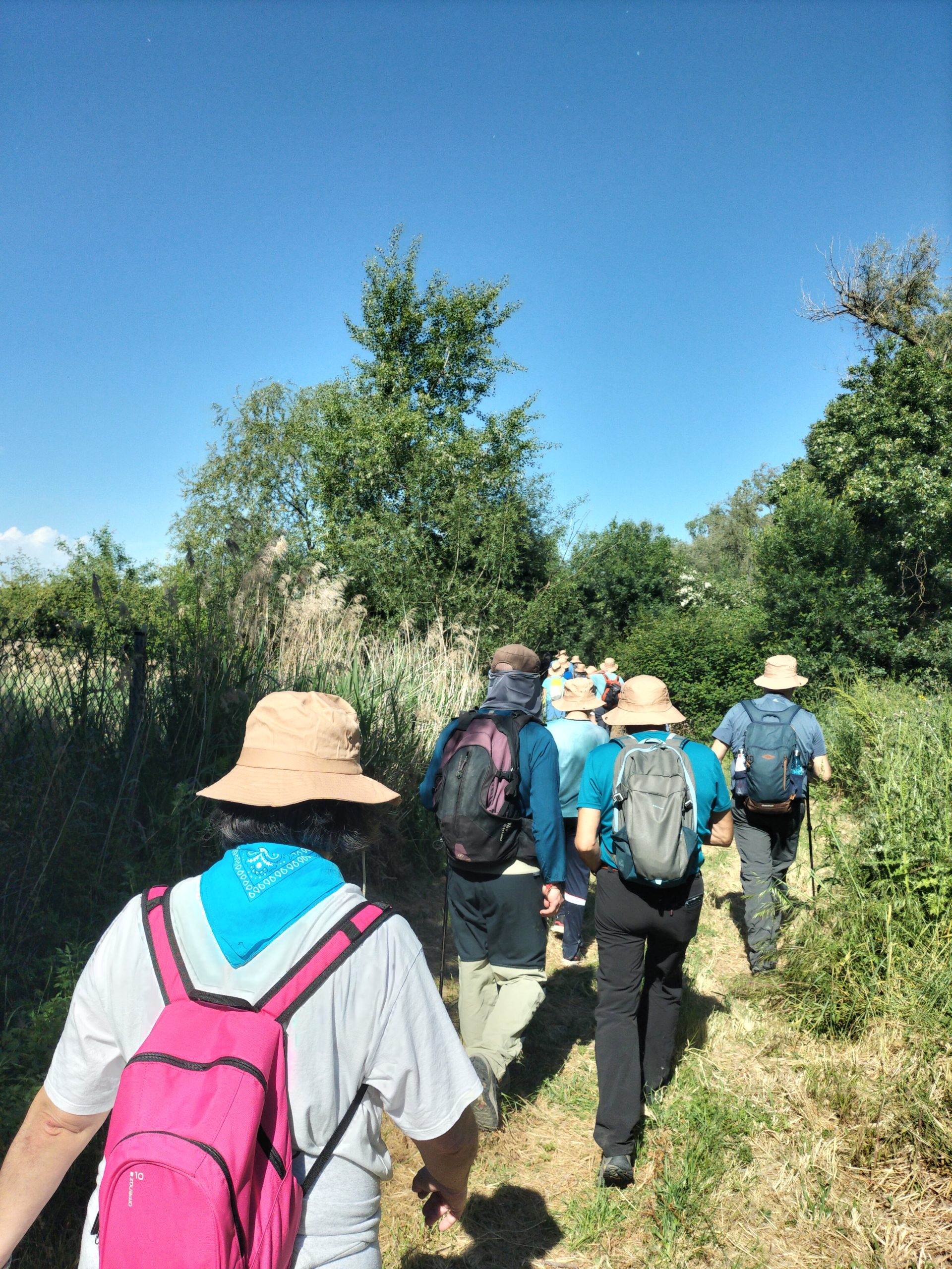 Walking Rivers. Ruta realizada por el Proyecto LIFE Ebro Resilience P1 entre los meandros de El Señorío y La Roza, integrándose en la experiencia mundial de caminar los ríos.