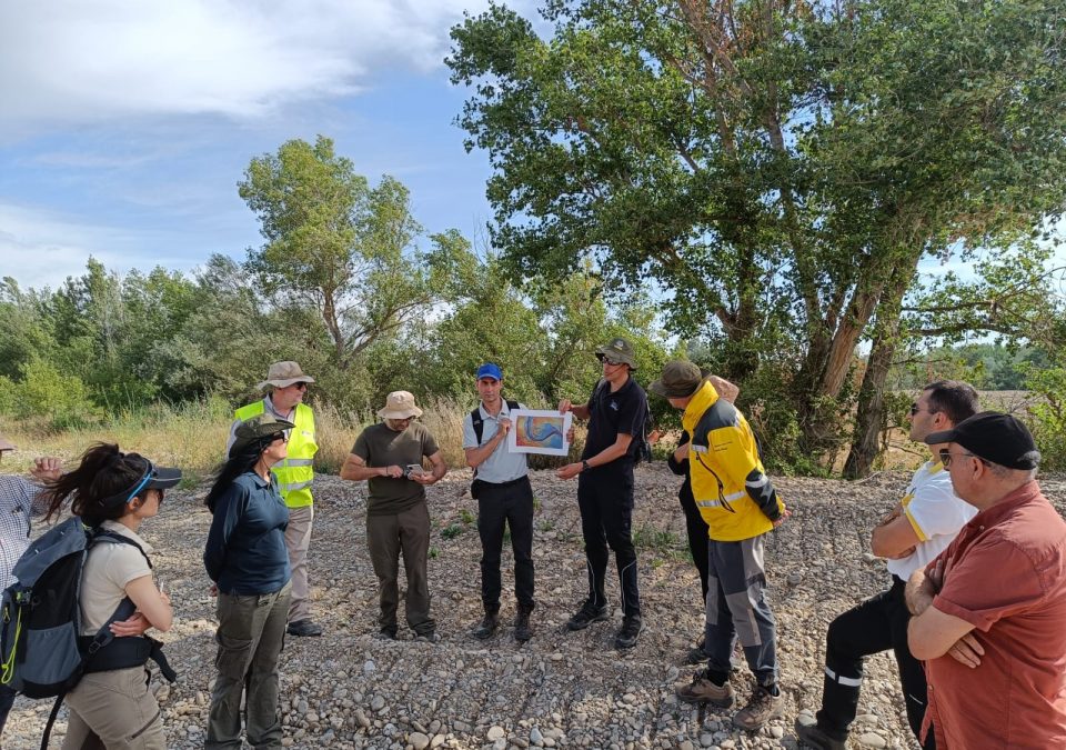 Visita a la obra de recuperación de antiguos brazos de río en el Soto de Alfaro por parte de los integrantes de los espacios de participación del proyecto LIFE Ebro Resilience P1