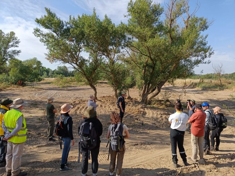 Visita a la obra de recuperación de antiguos brazos de río en el Soto de Alfaro por parte de los integrantes de los espacios de participación del proyecto LIFE Ebro Resilience P1