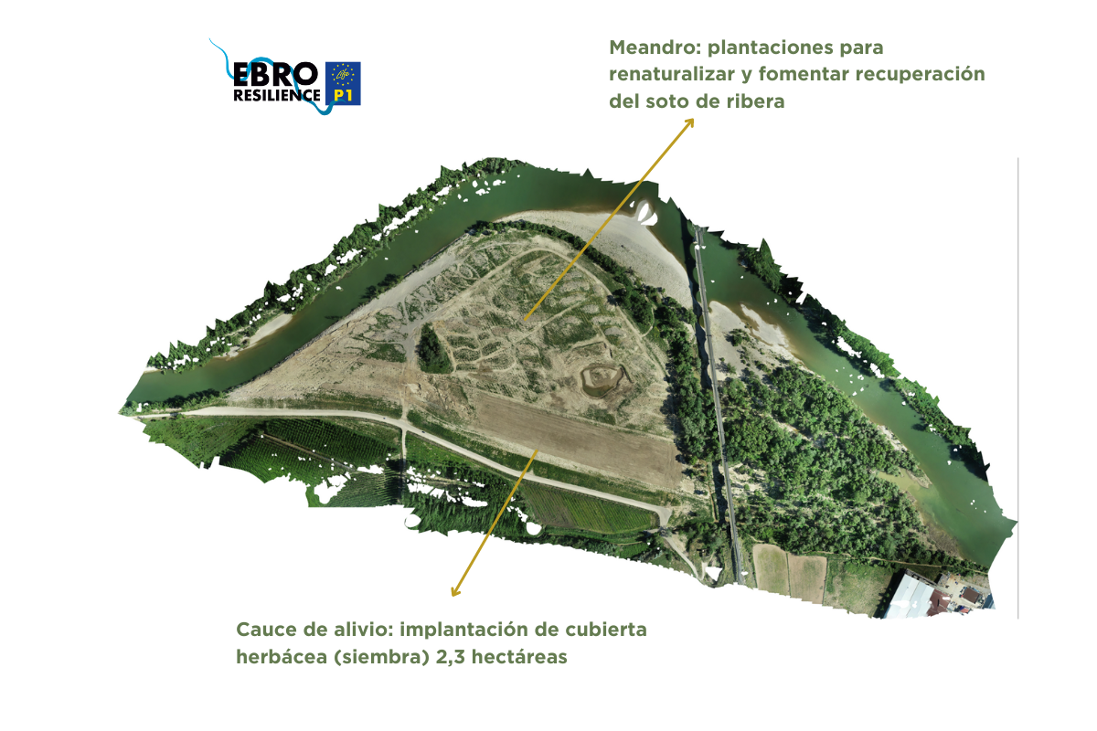 Reducing future maintenance of interventions: La Roza meander relief channel