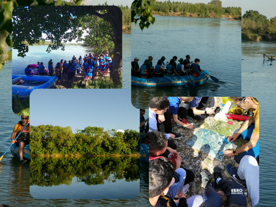 collage de imágenes de descenso