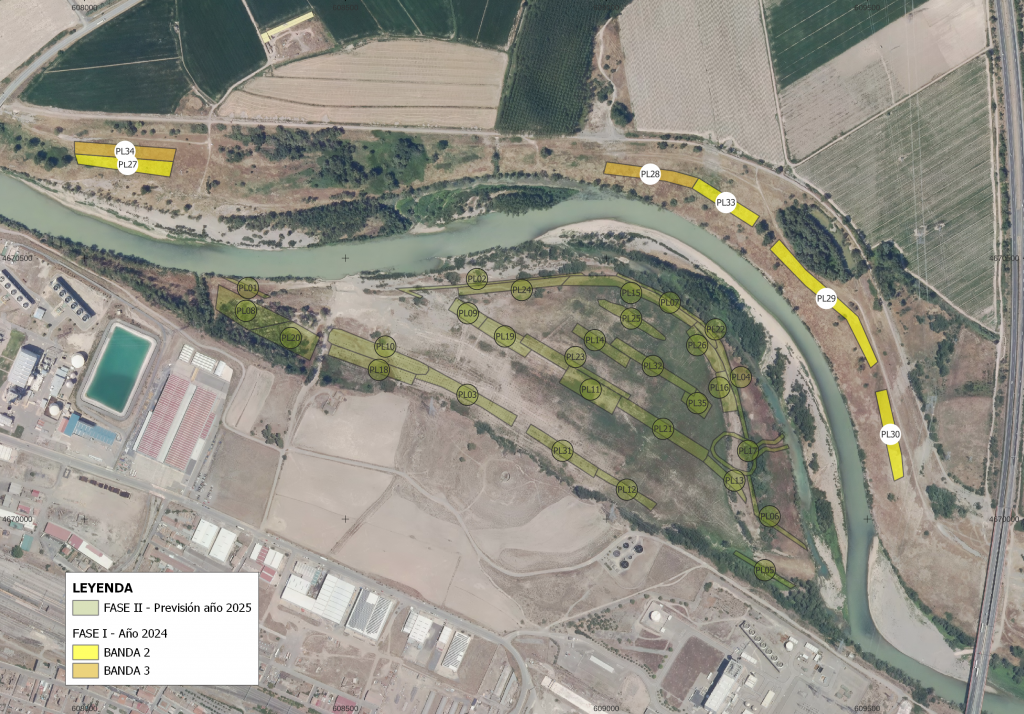 Plano con las fases de plantación en ambas márgenes del Ebro en EL Señorío (Castejón)