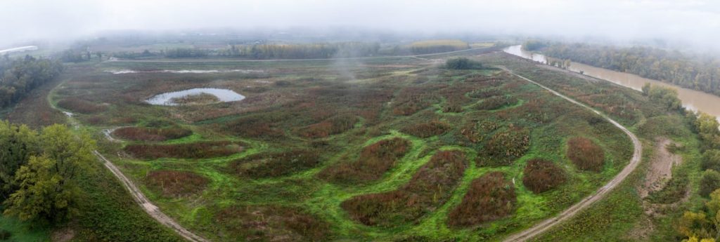 Meandro de La Roza, en Alfaro, La Rioja recuperado como espacio fluvial y con vegetación ya crecida