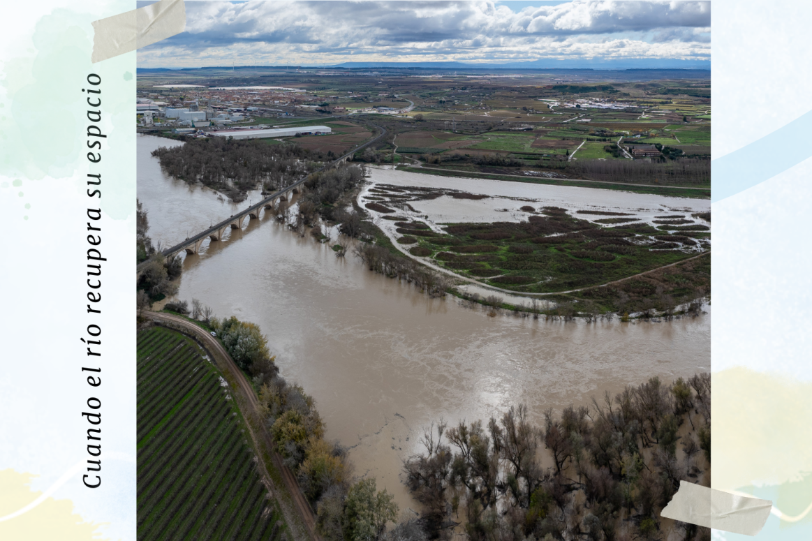 "When the river recovers its space", informative exhibition of the Ebro Resilience actions.