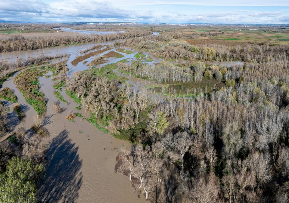 Recuperación de brazos de río en el Soto de Alfaro, imagen durante las crecidas de diciembre en 2024.