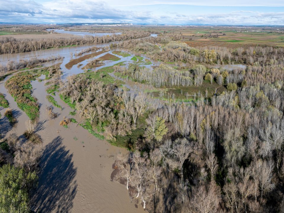 Recuperación de brazos de río en el Soto de Alfaro, imagen durante las crecidas de diciembre en 2024.