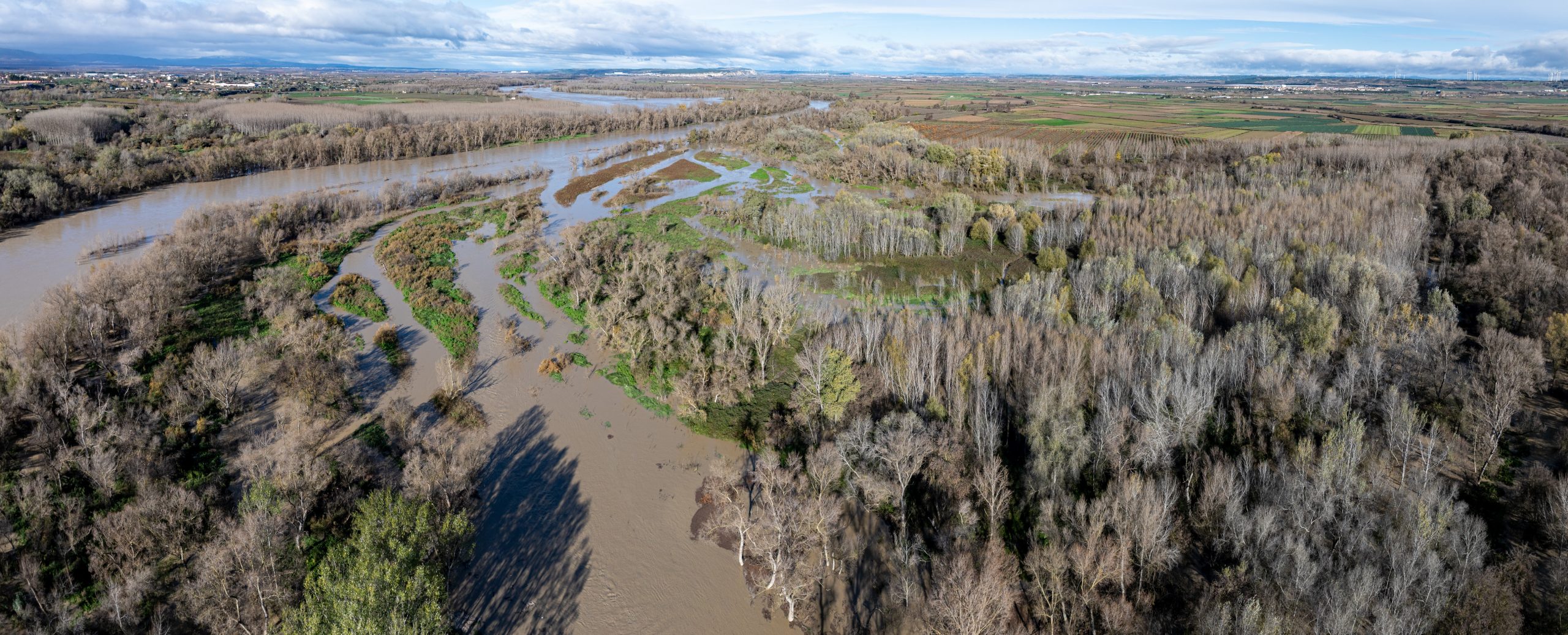 Recuperación de brazos de río en el Soto de Alfaro, imagen durante las crecidas de diciembre en 2024.