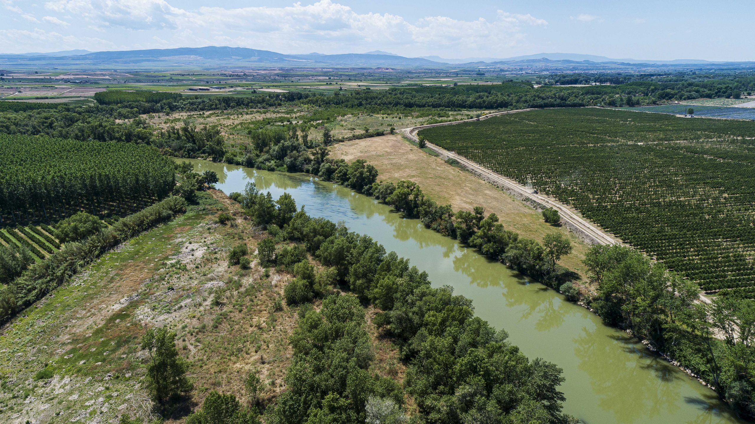 Paraje "El Ortigoso"