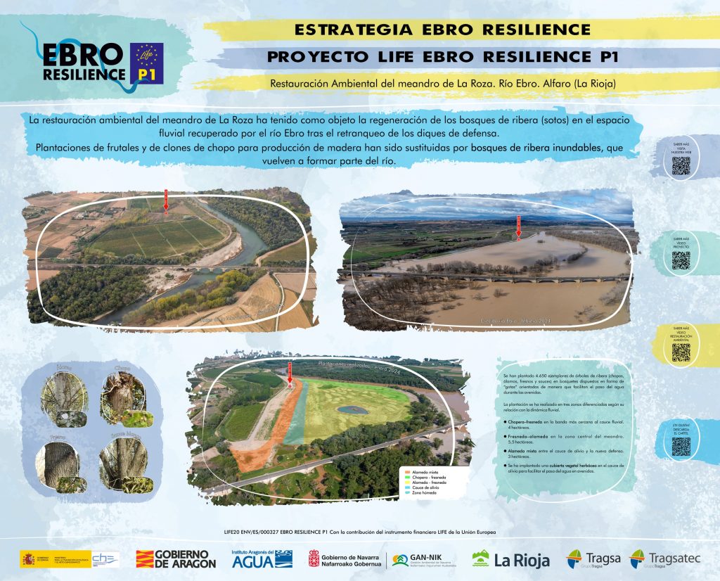 restauración ambiental de La Nava